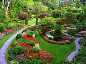 Picturious Landscaping Manufacturer Supplier Wholesale Exporter Importer Buyer Trader Retailer in New Delhi Delhi India